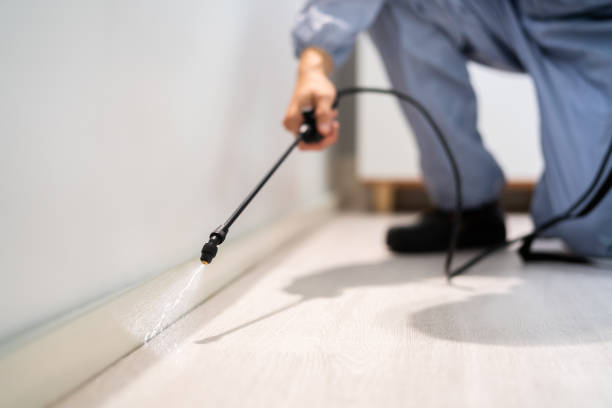 Licensed Pest Control service in Alexandria, AL - Show Me Pest Control