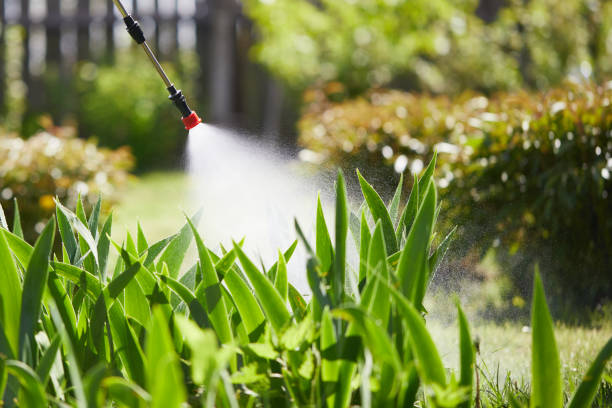 24/7 Emergency Ant Control experts in Alexandria, AL